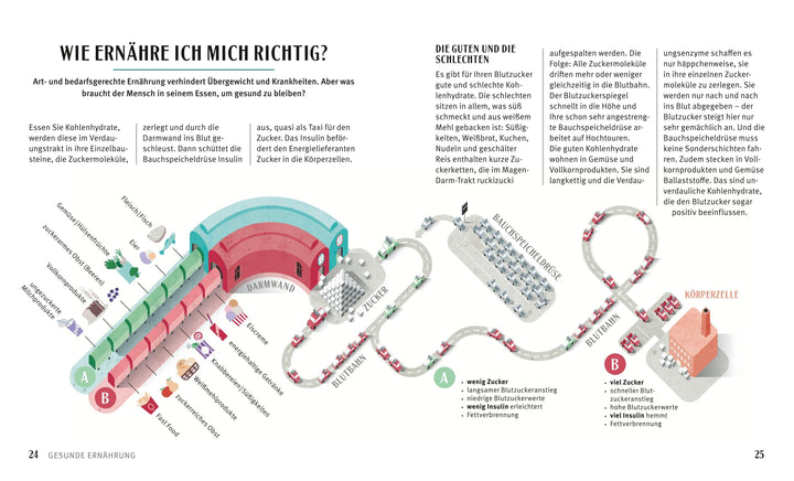 Diabetes-Kochbuch | Riedl, Matthias