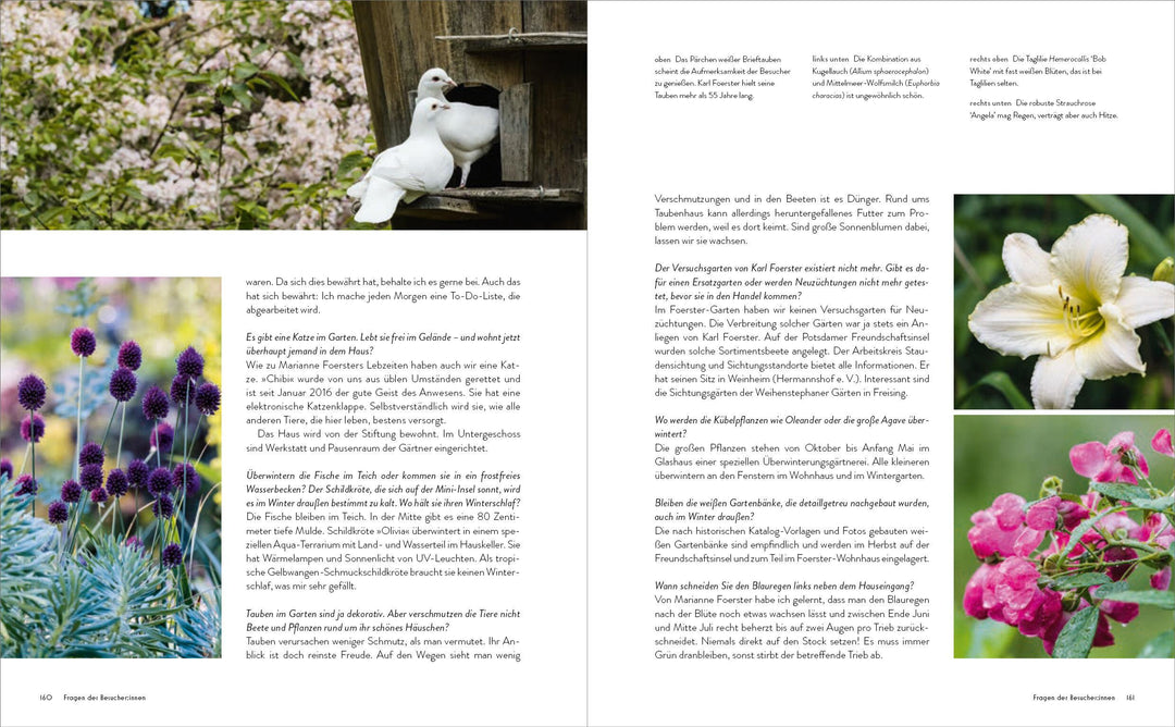 Der Garten meines Vaters Karl Foerster | Foerster, Marianne