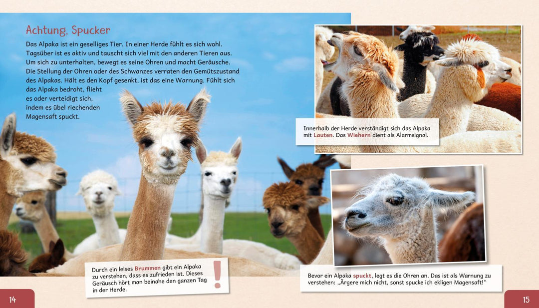 Meine große Tierbibliothek: Das Alpaka | Poschadel, Jens