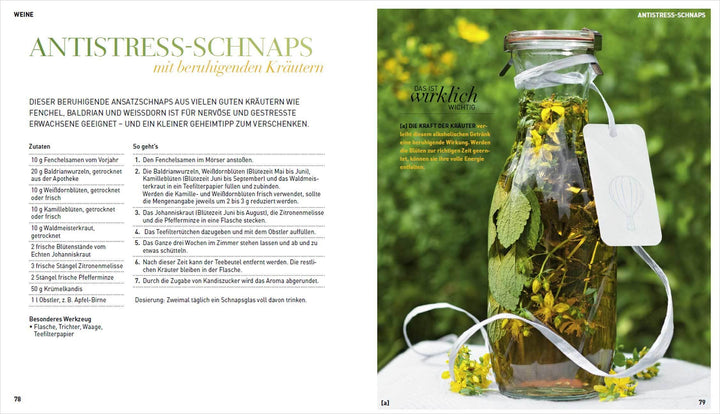 Geschenke aus dem Kräutergarten für Leib & Seele | Bickel, Gabriele