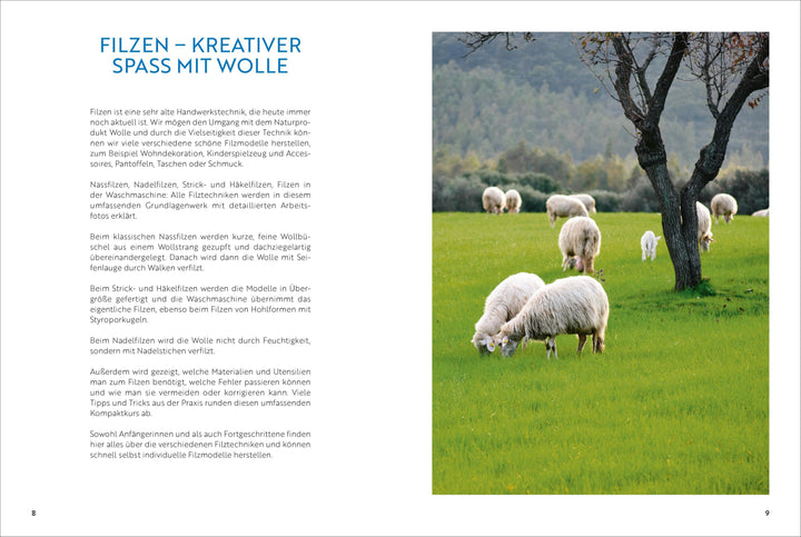 Das große Buch vom Filzen | Schaadt, Susanne | Moras, Ingrid | Olbrich, Astr...