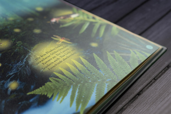 Wundervolle Reise durch die Nacht | -