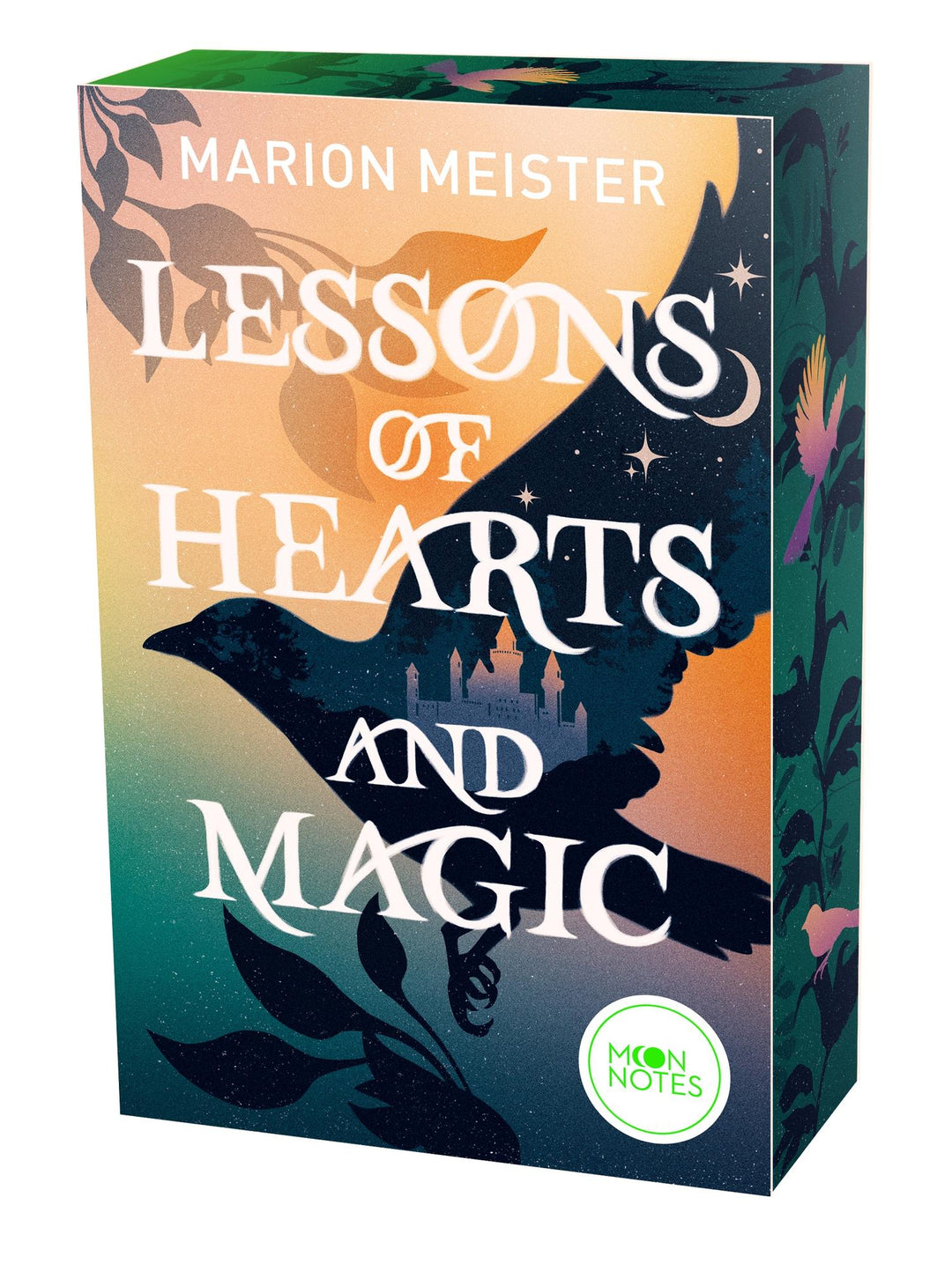 Lessons of Hearts and Magic | Meister, Marion