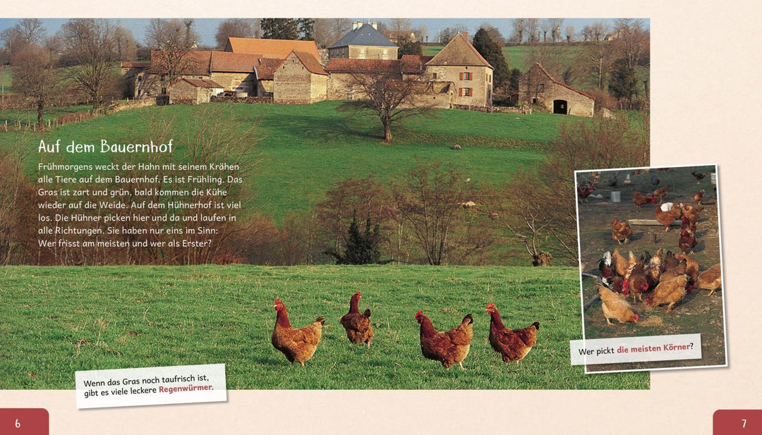 Meine große Tierbibliothek: Das Huhn | Havard, Christian | Tracqui, Valérie