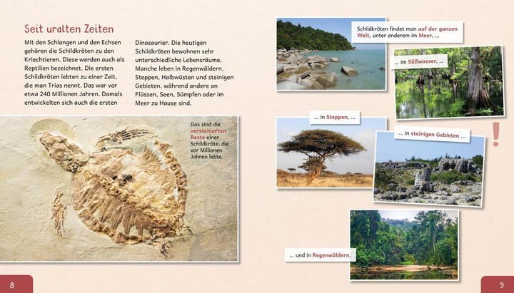 Meine große Tierbibliothek: Die Schildkröte | Gutjahr, Axel