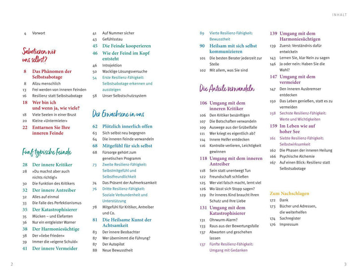 Der Feind in meinem Kopf | Hammer, Matthias