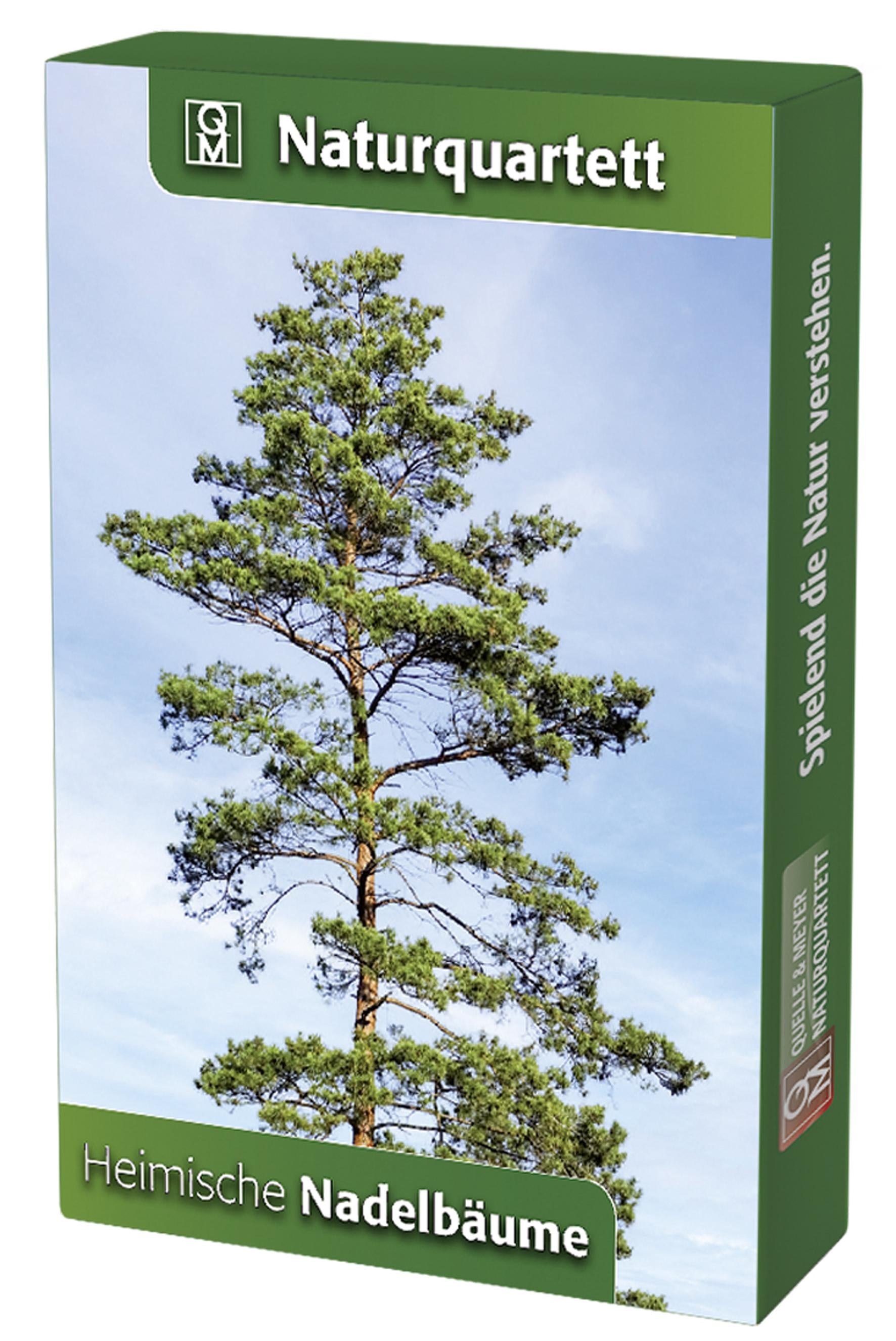 Heimische Nadelbäume | -